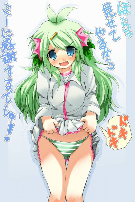 chiboard-b1t49148-20100409_shaymin_upby-Duky.jpg