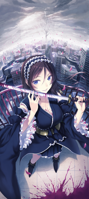 chiboard-b3t49275-20100415_ka_upby-Duky.png