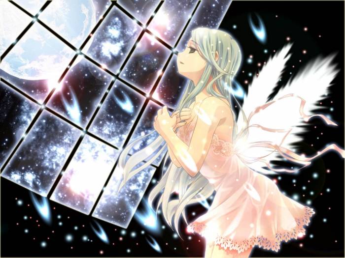 chiboard-b1t49301-20100415_wallpaper2019120angekp7-17a2438_upby-Tempo.jpg
