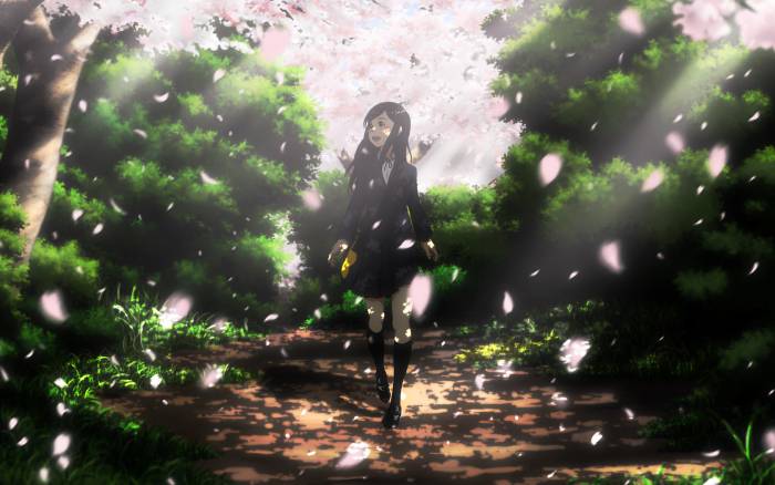 chiboard-b1t49917-20100507_Konachan_com_20-_2074115_20cherry_blossoms_20tagme_upby-Nana-chan.jpg