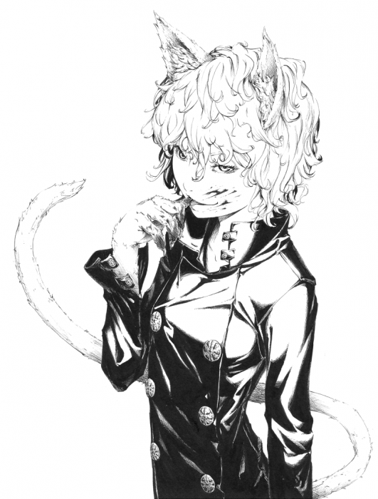 chiboard-b3t50386-20100529_cat_upby-Duky.png