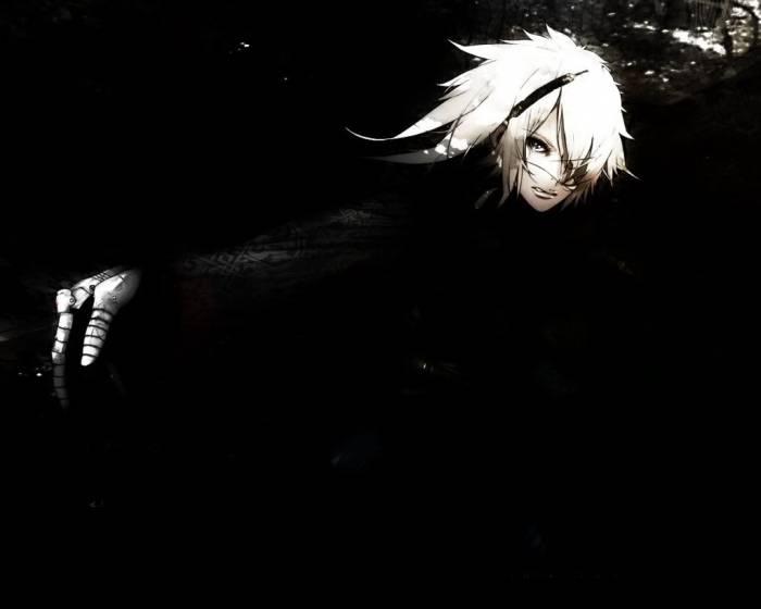 chiboard-b2t50985-20100712_Nier03_upby-Duky.jpg