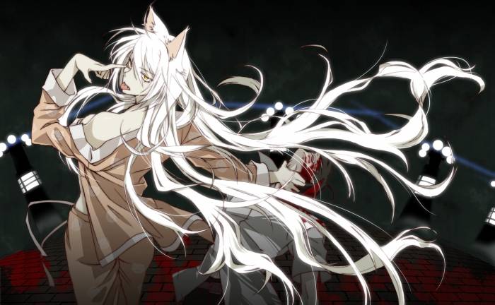 chiboard-b3t51001-20100714_bakemonogatari0_upby-Duky.jpg
