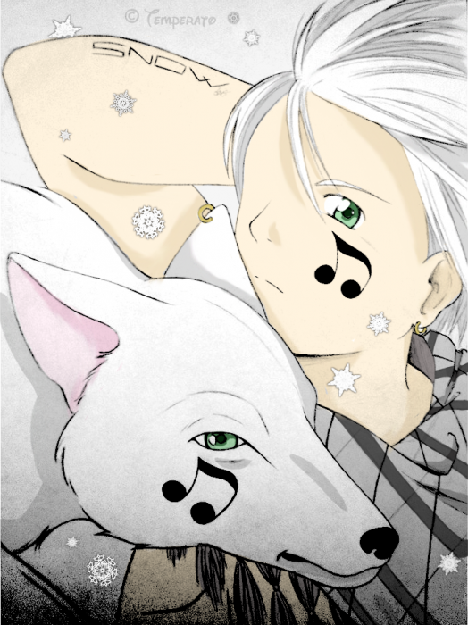 chiboard-b16t51205-20100725_Snow_____colo___flocons_upby-Tempo.png