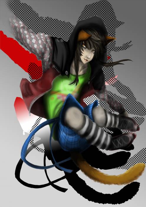 chiboard-b16t51439-20100805_Neko_rider_upby-WaiiTako.jpg