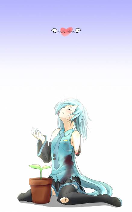 chiboard-b3t51824-20100820_HELLO_upby-Duky.jpg