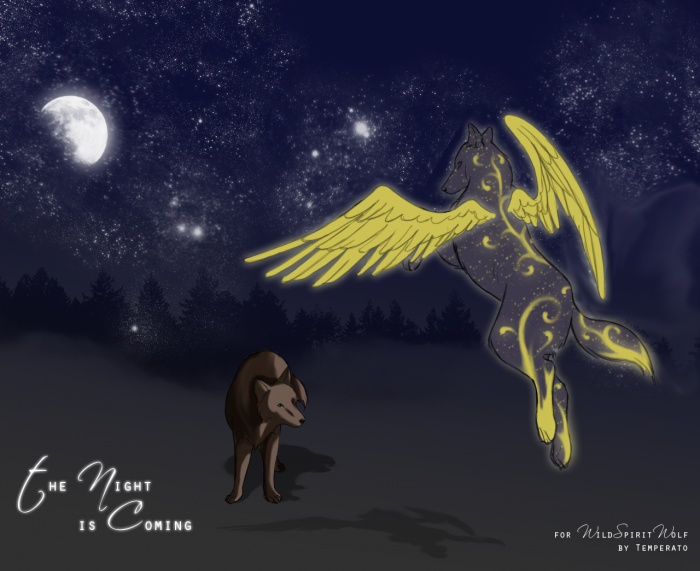 chiboard-b16t51840-20100821_The_Night_is_coming_upby-Tempo.png
