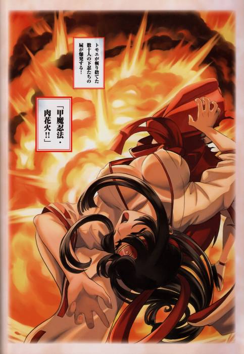 chiboard-b1t51952-20100826_Queen_s_Blade-Tomoe_upby-Toboe.jpg