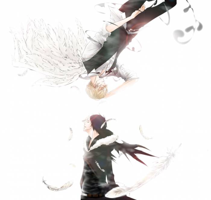 chiboard-b2t52012-20100826_Durarara__-Shizuo-Izaya_8_upby-Toboe.jpg