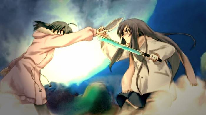 chiboard-b3t52151-20100829_374c725995a20bbe9f87d077685d98b4f8351541__upby-Ashkanie.jpg