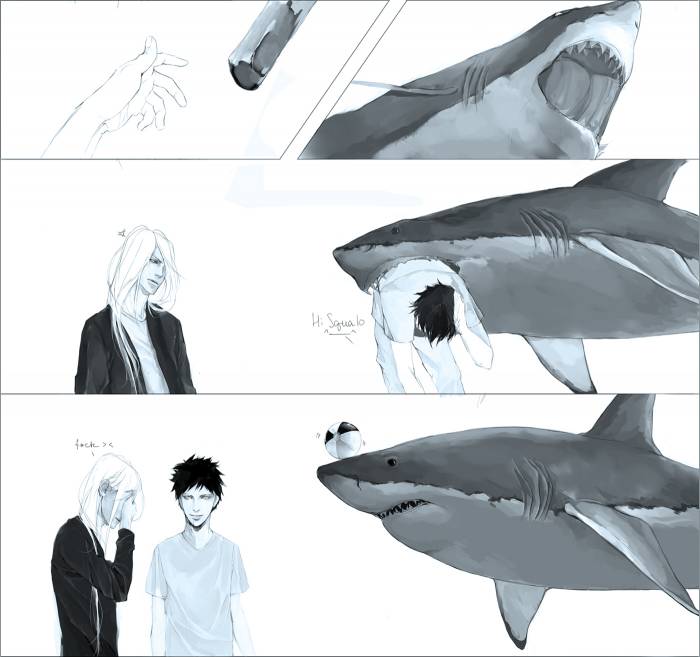 chiboard-b2t52257-20100902_Reborn_-Squalo7_upby-Ritsuka.jpg