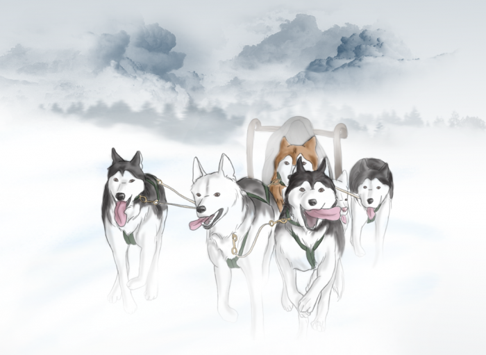 chiboard-b16t52658-20100928_Untitled-2_upby-Tempo.png
