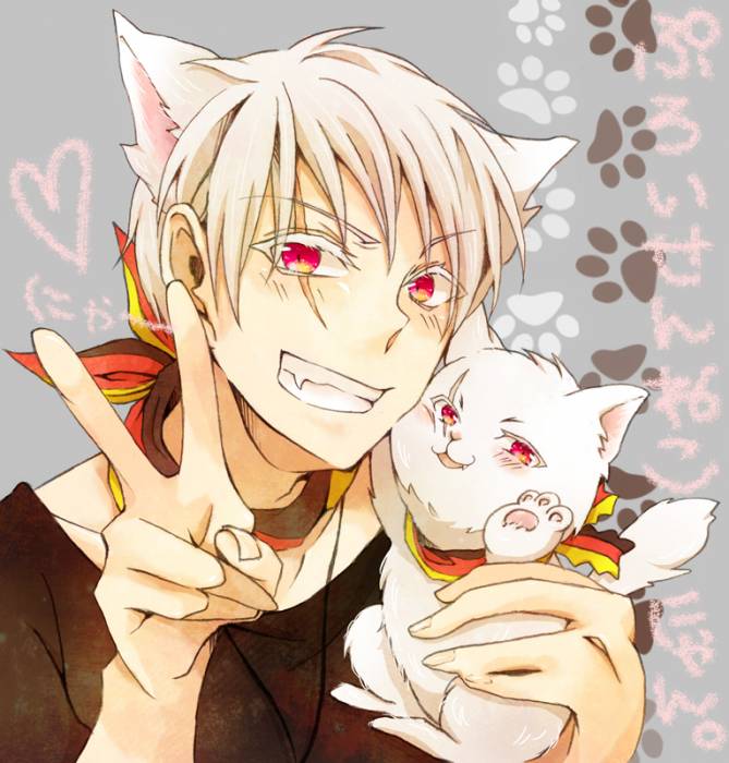 chiboard-b2t53499-20101122_Axis_Power_Hetalia-Prussia_upby-Toboe.jpg