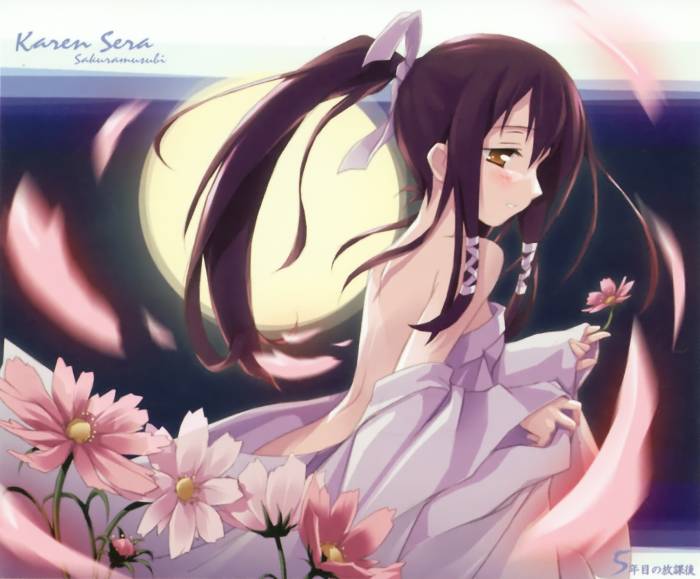 chiboard-b1t53645-20101124_Kantoku__artiste_-Sakura_Musubi_1_upby-Toboe.jpg