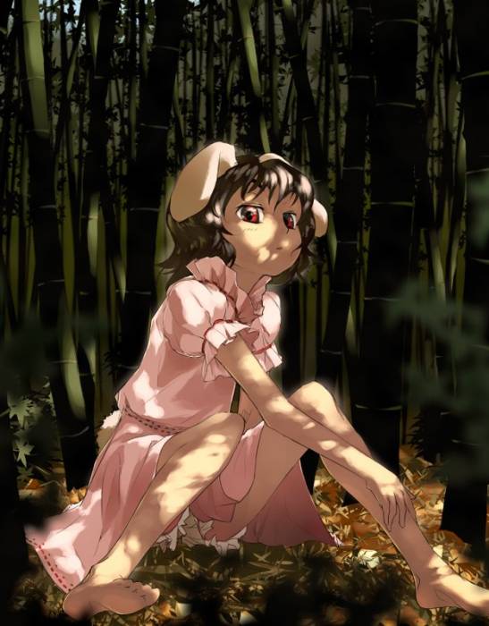 chiboard-b1t54059-20101224_Inaba_Tewi_Character_upby-moi_amt.jpg