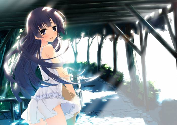 chiboard-b1t54133-20101227_kagome_upby-Duky.jpg