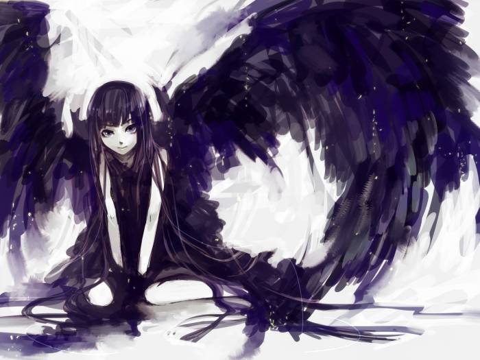 chiboard-b1t54269-20110108_Konachan_com_20-_2092269_20aoshiki_20black_hair_20long_hair_20original_20purple_eyes_20wings_upby-Nana-chan.jpg
