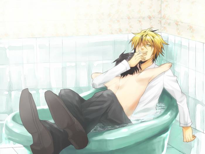 chiboard-b2t54496-20110201_Shizuo_x_Izaya_10_upby-Traum.jpg