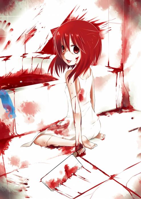 chiboard-b3t54600-20110214_puni_upby-Duky.jpg