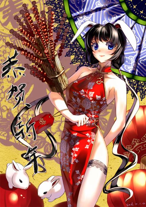 chiboard-b1t54685-20110228_miyazaki_byou_upby-Duky.jpg