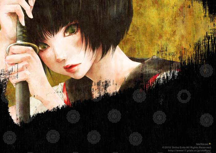 chiboard-b1t54688-20110228_enta_upby-Duky.jpg