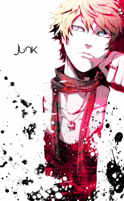 chiboard-b2t54706-20110301_junk_upby-Duky.jpg
