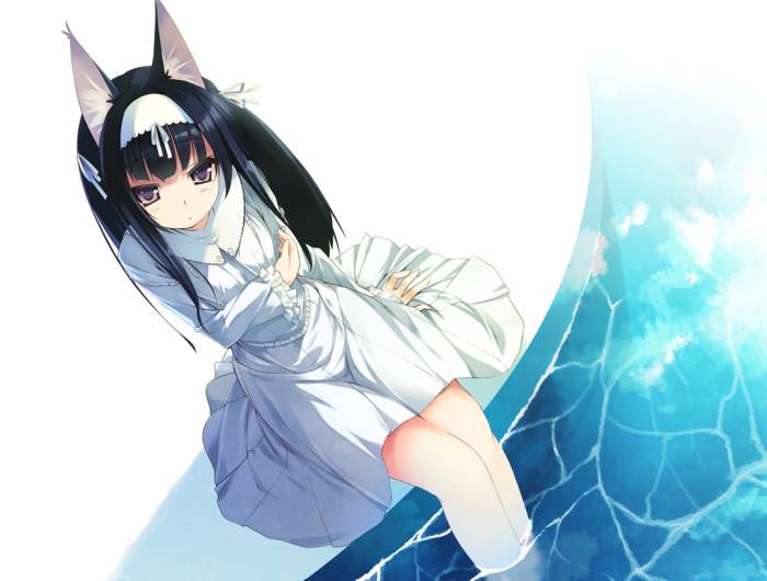 chiboard-b1t54928-20110401_nekomu_upby-Duky.jpg