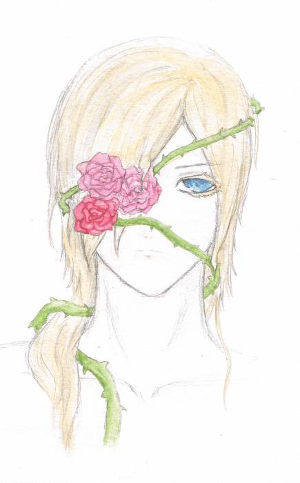 chiboard-b16t54969-20110411_rose2_upby-Amabaile.jpg