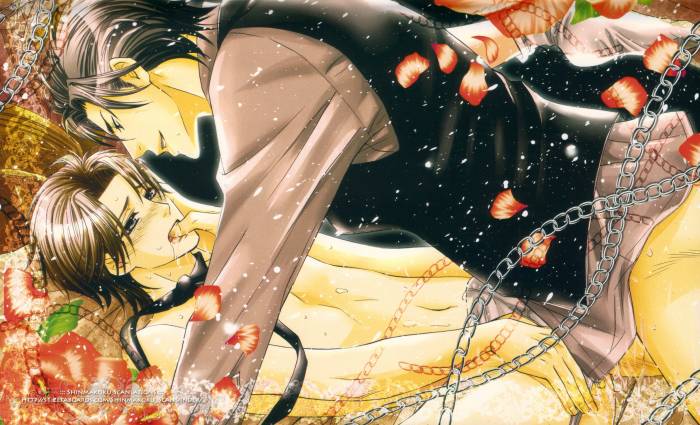chiboard-b2t54994-20110419_The_Royal_Fiance_upby-Ritsuka.jpg