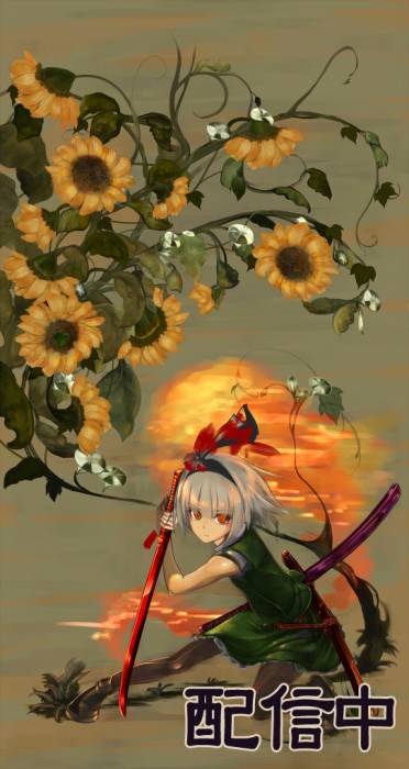 chiboard-b1t54998-20110420_konpaku_youmu_upby-moi_amt.jpg