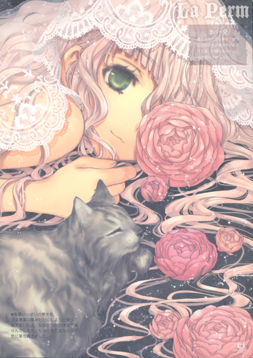 chiboard-b1t55032-20110420_2010-02-24-249247_upby-Nana-chan.png