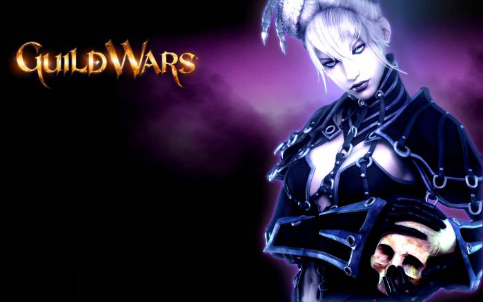 chiboard-b1t55295-20110717_guildwars_wallpaper_highres-necromancer-ws1920_upby-Mr_Repost.jpg