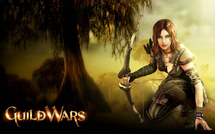 chiboard-b1t55296-20110717_guildwars_wallpaper_highres-ranger-ws1920_upby-Mr_Repost.jpg