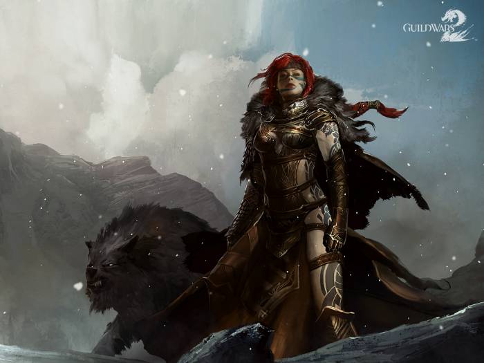 chiboard-b1t55300-20110717_GuildWars2-07-1600x1200_upby-Mr_Repost.jpg