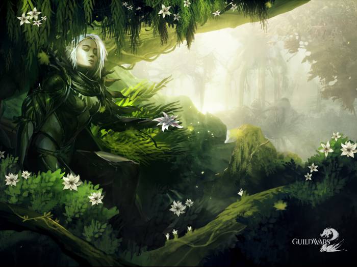 chiboard-b1t55307-20110717_GuildWars2-05-1600x1200_upby-Mr_Repost.jpg
