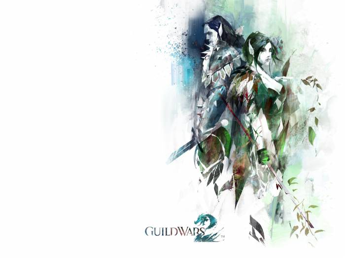 chiboard-b1t55308-20110717_GuildWars2-06-1600x1200_upby-Mr_Repost.jpg