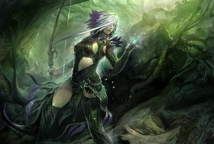 chiboard-b1t55309-20110717_guildwars2-26_upby-Mr_Repost.jpg