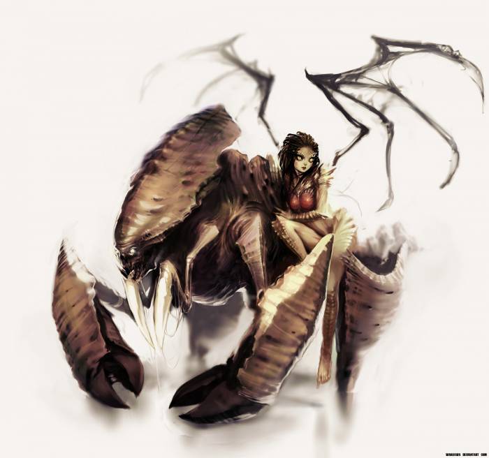 chiboard-b1t55456-20110801_queen_of_blades_by_wakkawa-d31w7aj_upby-Xatiav.jpg