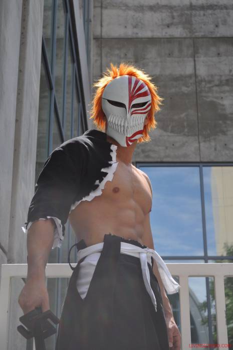 chiboard-b8t55480-20110806_living_ichigo_cosplay_3_by_ssj4theo-d3id2df_upby-Duky.jpg