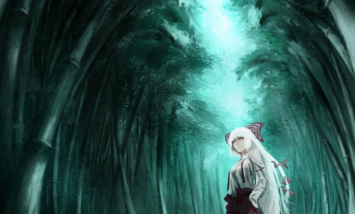 chiboard-b1t55568-20110906_t785_upby-Duky.png