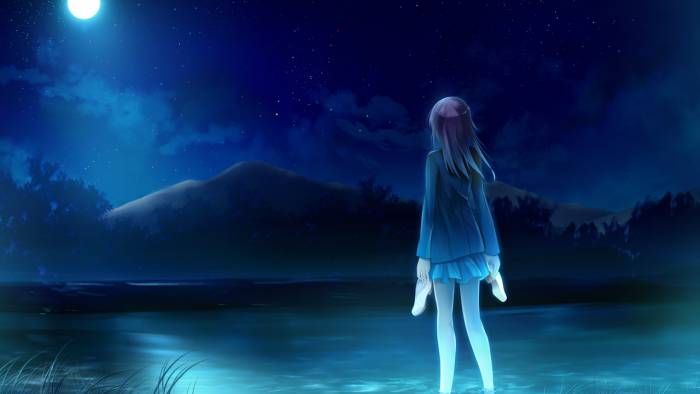 chiboard-b1t55695-20111207_Konachan.com-116891-black_hair-clouds-game_cg-landscape-moon-night-scenic-skirt-sky-stars-suika_niritsu_upby-moi_amt.jpg