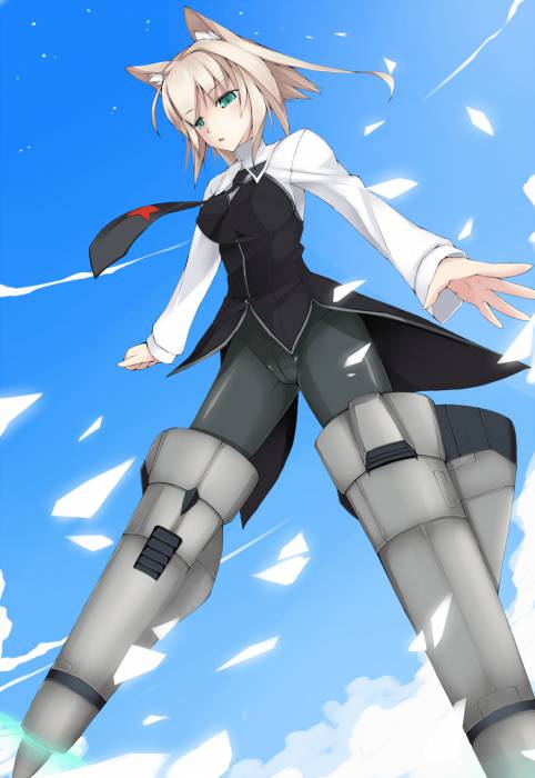 chiboard-b1t56031-20120318_s_895178_animal_ears_black_legwear_breasts_cameltoe_cosplay_dean_flying_green_eyes_highres_lavochkin_la__upby-anonymous.jpg