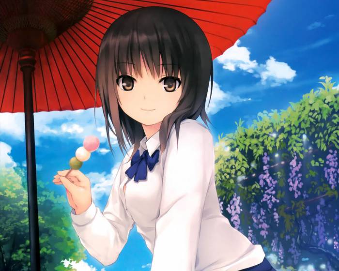 chiboard-b1t56076-20120319_110979_aoyama_sumika_black_hair_coffee_kizoku_dango_seifuku_shiramine_rika_upby-anonymous.jpg