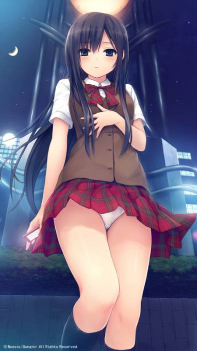 chiboard-b1t56112-20120319_1347593_1girl_black_legwear_blue_eyes_brown_hair_cellphone_coffee_kizoku_crescent_moon_from_below_furifure_2_kneehighs_long_hair_moon_night_panties_phone_plaid_skirt_upby-anonymous.jpg