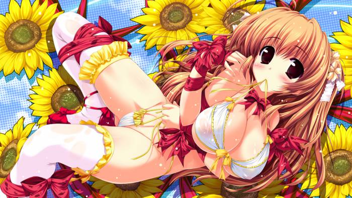 chiboard-b1t57088-20120722_Konachan.com_-_106098_bikini_bow_brown_eyes_brown_hair_cleavage_flowers_himekawa_fuuka_long_hair_nipples_oshiki_hitoshi_ribbons_see_through_swimsuit_thighhighs_upby-athena.jpg