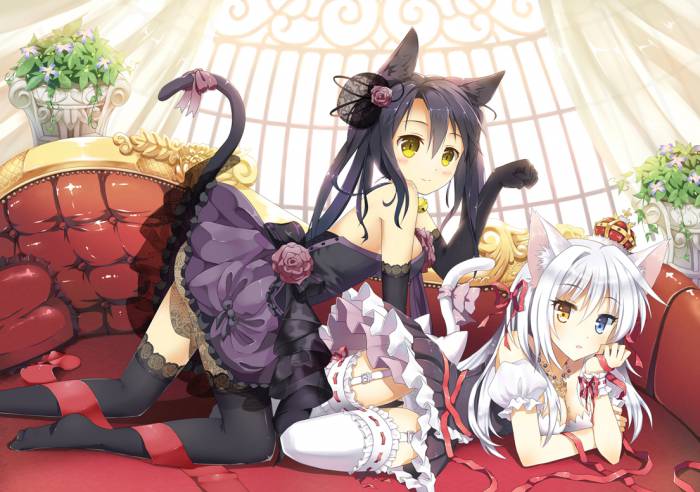 chiboard-b1t57269-20120924_Konachan.com-129793-2girls-black_hair-blush-catgirl-cleavage-gloves-long_hair-mauve-original-panties-tail-thighhighs-twintails-underwear-white_hair-yellow_eyes_upby-Mugetsu.jpg