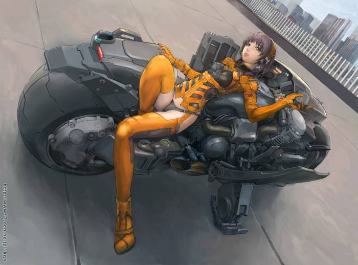 chiboard-b1t57323-20120926_Konachan.com_-_78138_brown_eyes_motorcycle_panties_purple_hair_thighhighs_underwear_upby-Mugetsu.jpg