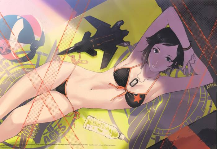 chiboard-b1t57332-20120926_ace_combat_upby-Duky.jpg