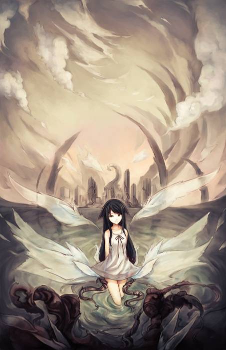 chiboard-b1t57415-20121006_image_upby-Whiterid.jpg