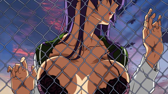 chiboard-b1t57618-20121109_High_School_of_the_Dead__3__upby-Mugetsu.jpg